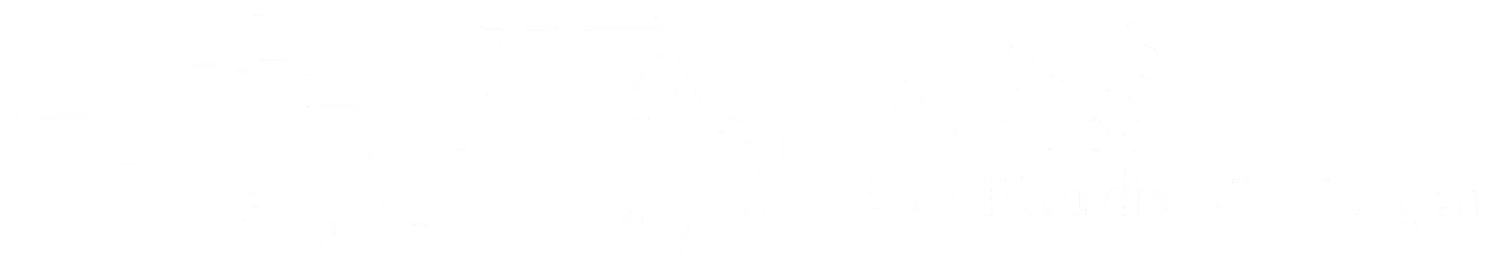 ASS Speditionsdienstleistungen